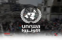 ناشط فلسطيني يطلق حملة تقييم لأداء الأونروا في المخيمات الفلسطينية