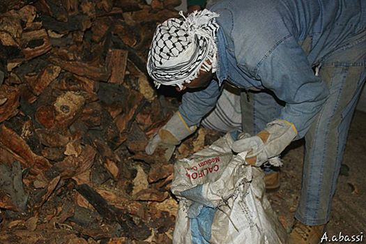 The increased prices of firewood aggravate the suffering of the Palestinian refugees in the south of Damascus