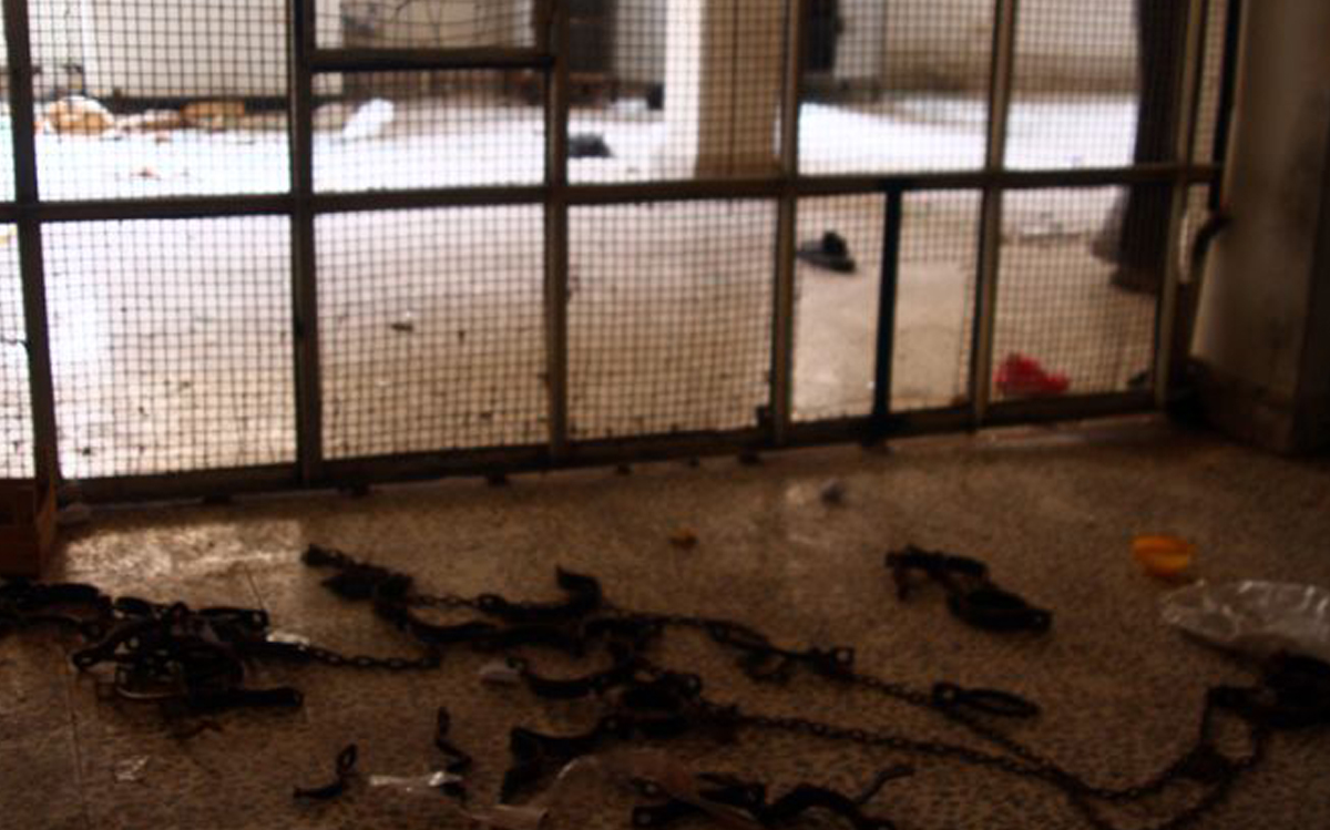 2 More Palestinian Refugees Tortured to Death in Syrian Prisons