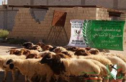 Relief Agencies Ends the Distribution of Sacrifices to the Residents of Yarmouk and the Displaced People at the Neighboring Towns 