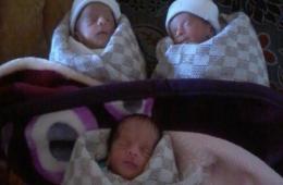 Blockade mars life of Palestinian refugee family after mother gives birth to triplets 