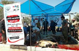 Sacrificial meat distributed among displaced Palestinians in northern Syria