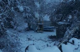 Bariqa Camp: Palestinian refugees under snow, without water, bread or firewood