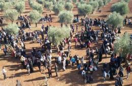5 refugees from Azaz camp in the suburbs of Aleppo arrested