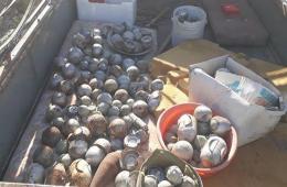 Dozens of Cluster Bombs Removed from Handarat Camp in Aleppo