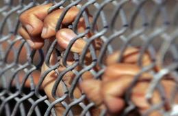 Child among Three Palestinian Detainees Held in Syrian Prisons since 2013