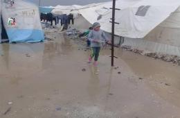 Fundraising Campaign Kick-Started in Favor of Displaced Palestinians North of Syria