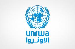 UNRWA: 120,000 Palestine Refugees Fled War-Torn Syria
