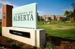 Palestinian Students from Syria Garners Outstanding Results at Alberta University