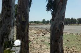 Situation of Palestinian Refugees in AlMuzeireeb Exacerbated by Lake Drought