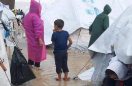 Hundreds of Palestinian Refugees Facing Squalid Conditions on Greek Island