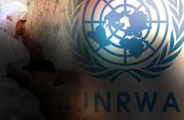 Palestinians of Syria Lash Out at UNRWA