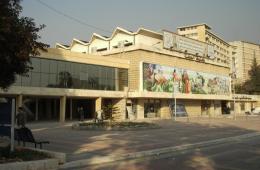10 Palestinian Students from AlNeirab Camp Admitted into Aleppo Medicine Faculty