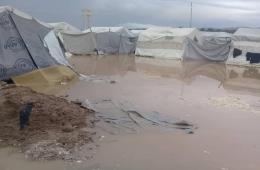 Palestinian Refugees in Northern Syria Launch Cry for Help with Advent of Winter